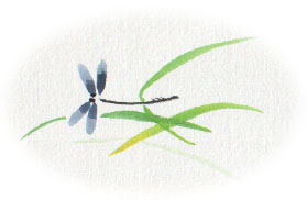 ��F�V�{�J�q